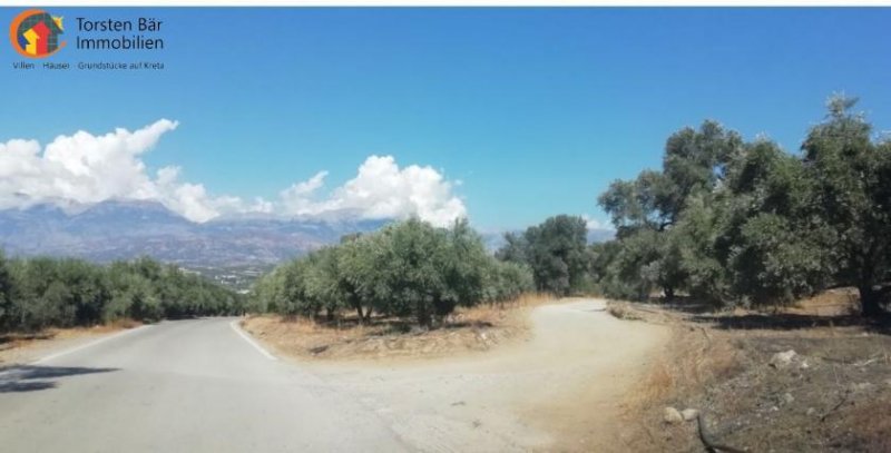 Kousses Kreta, Kousses, Grundstück ca. 4.106 m² zu verkaufen Grundstück kaufen